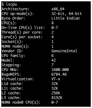 uname, lscpu, free output examples